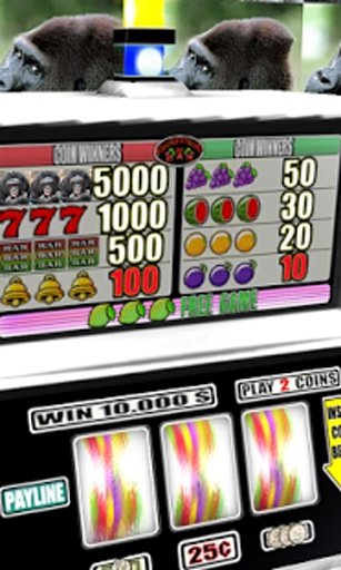 Ape Slots - Free截图3