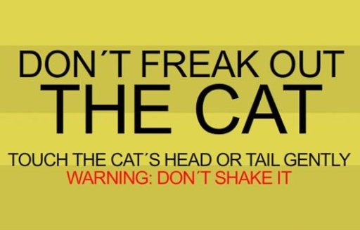 Don&acute;t Freak Out The Cat截图4