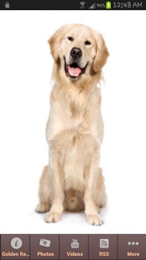 Golden Retriever NEW截图4