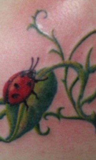 Tattoo Ladybird Theme截图3