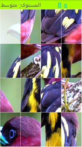 Birds JigSaw Game截图2