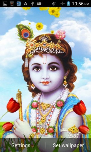 Lord Krishna Live Wallpaper截图2