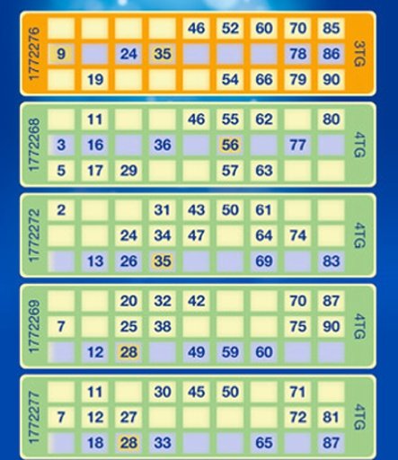 Top Bingo Games截图2