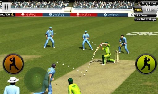 Play Cricket Worldcup 2015截图1