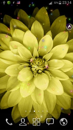 Flower wallpaper截图5