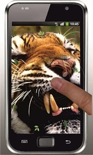 Tiger Free HD live wallpaper截图1