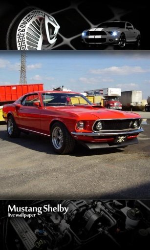 Mustang News HD Live Wallpaper截图3