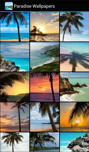 Paradise Wallpapers截图1