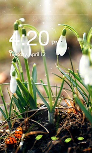 Ladybug Lock Screen截图3