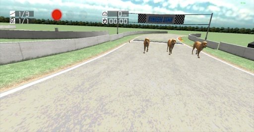 Dog Racing : Labrador截图2