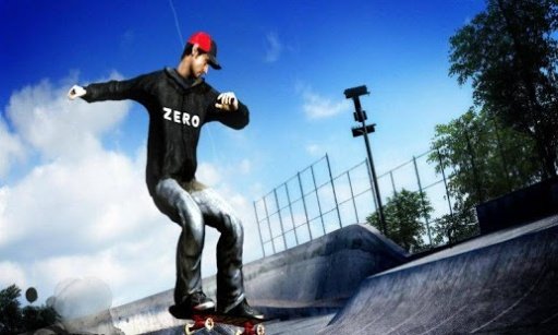 Skate 3D 2014截图3