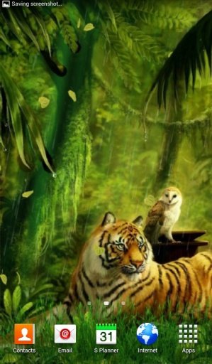 Jungle Tiger Live Wallpaper截图2