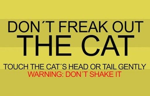 Don&acute;t Freak Out The Cat截图1