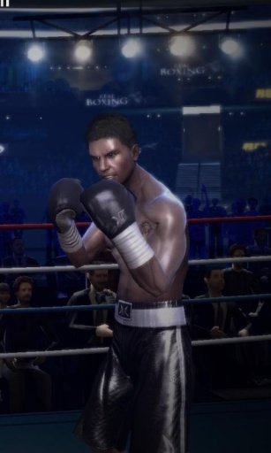 Real Boxing Jigsaw Puzzle截图5