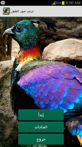 Birds JigSaw Game截图3