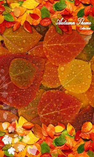 Autumn Nostalgic LiveWallpaper截图1