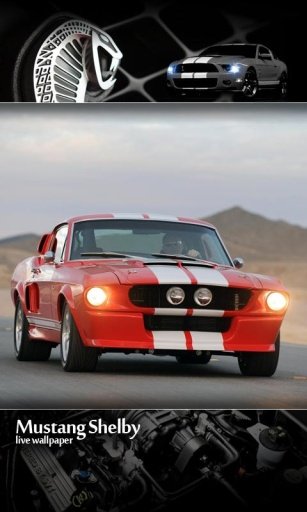 Mustang News HD Live Wallpaper截图2