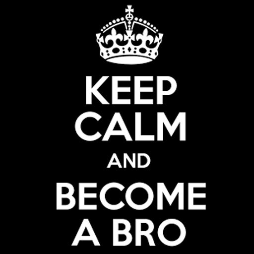 Become a BRO!截图4