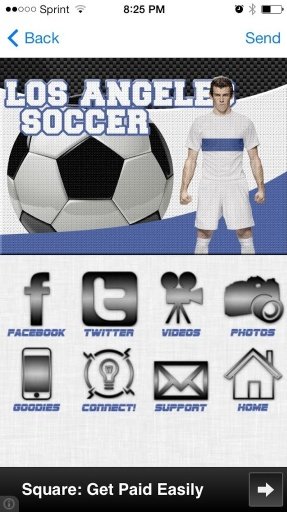 LA Soccer FC *FREE*截图4