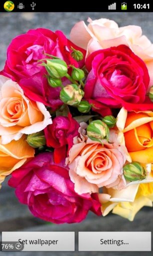 3D Flower Live Wallpaper截图7