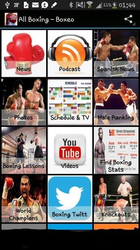 All Boxing - Boxeo截图1