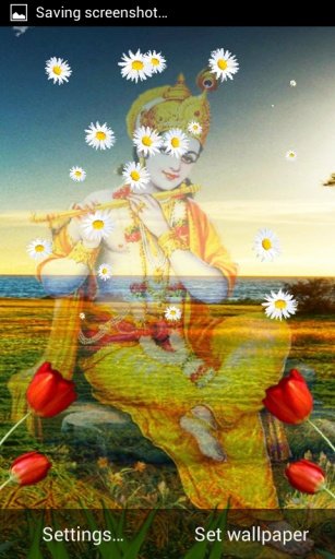 Lord Krishna Live Wallpaper截图6