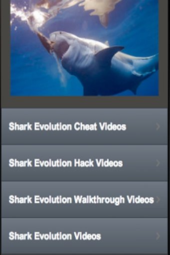 Hungry Evo Sharks截图5