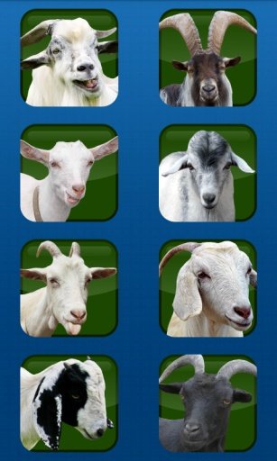 Goat Scream Sounds截图2