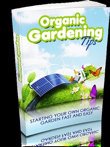 Organic Gardening Tips截图1