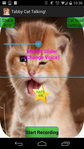 Talking Tabby Cat Voice Change截图1