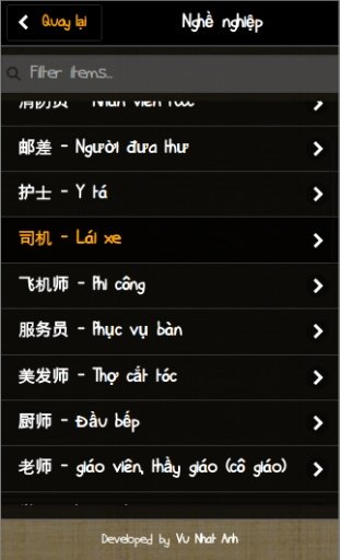 Chinese Vietnamese Vocabulary截图3