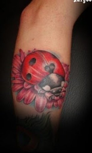 Tattoo Ladybird Theme截图5