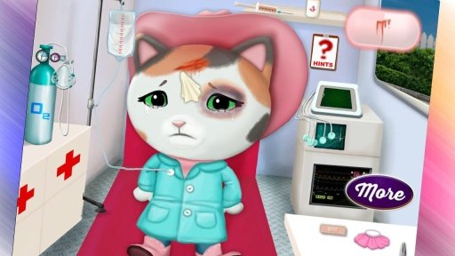 Cat In Ambulance - Pet Game截图5