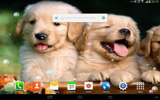 Playful Puppies Live Wallpaper截图5