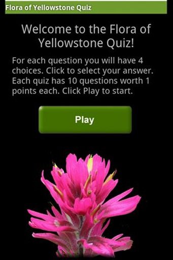 Flora of Yellowstone Quiz截图2