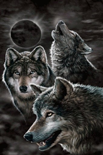 Howling Wolves Live Wallpaper截图1