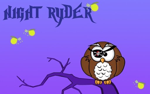 Night Ryder截图9