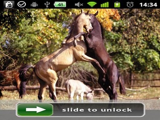 Horses Lock Screen photo截图6