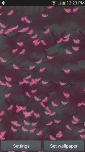 Pink Feather Live Wallpaper截图4