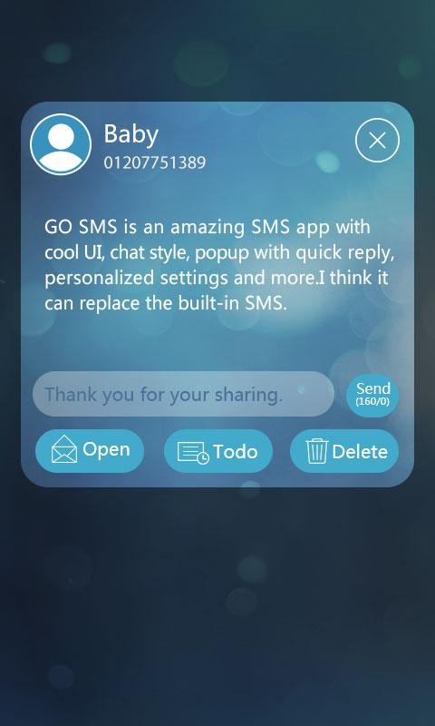 GO SMS Pro Briefness Theme EX截图8