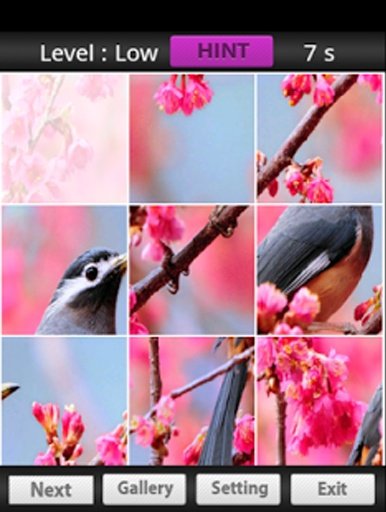 Birds Games Puzzle截图4