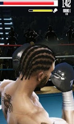 Real Boxing Jigsaw Puzzle截图7