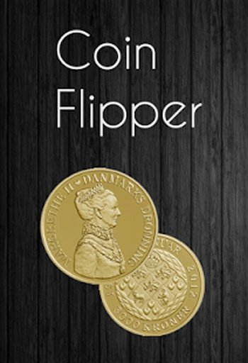 COIN FLIPPER TOSS FREE 2014截图6