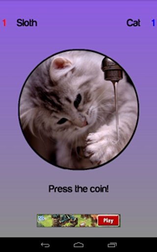 Cat or Sloth Coin Toss截图3