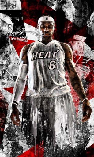 Lebron James Puzzle Game截图4