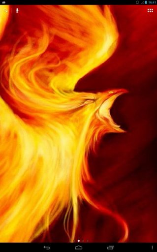 Fiery Predatory Bird Live WP截图3