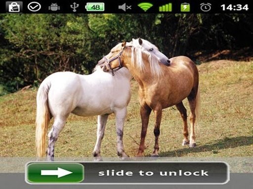 Horses Lock Screen photo截图5