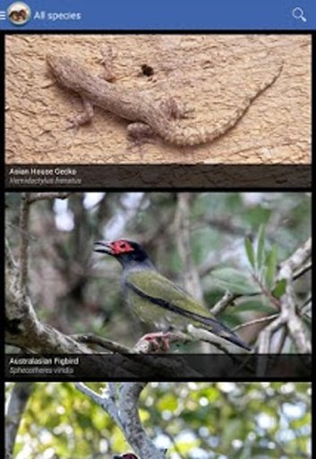 Field Guide NSW截图10