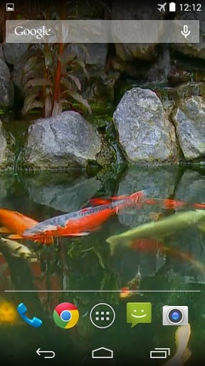 Koi Pond Live Wallpaper截图1