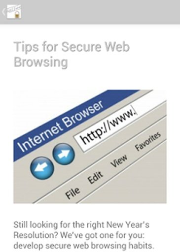 Secure Web Browser Guide截图1